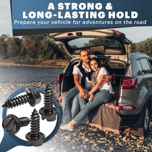 Stainless Steel License Plate Screws 4-Pack Black X239