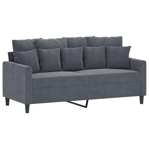 2-Piece Dark Gray Velvet Sofa Set M157068