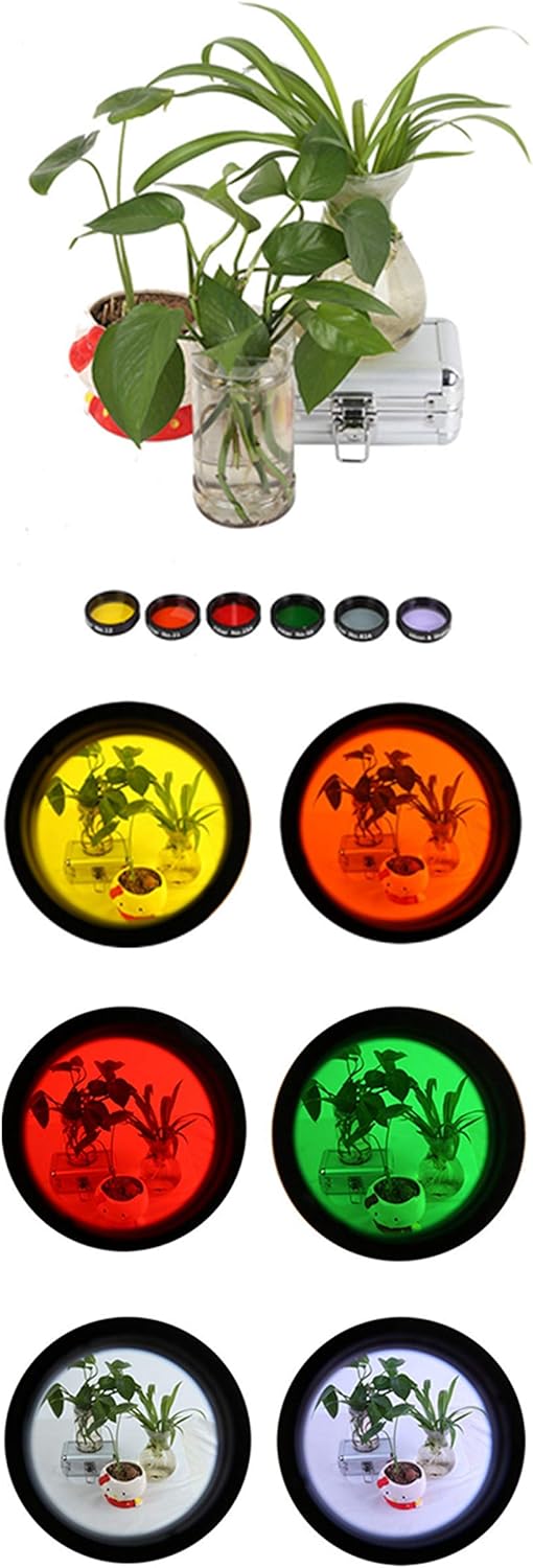 1.25 Inches 6 Color Telescope Moon Filter Set with Metal Case F24656