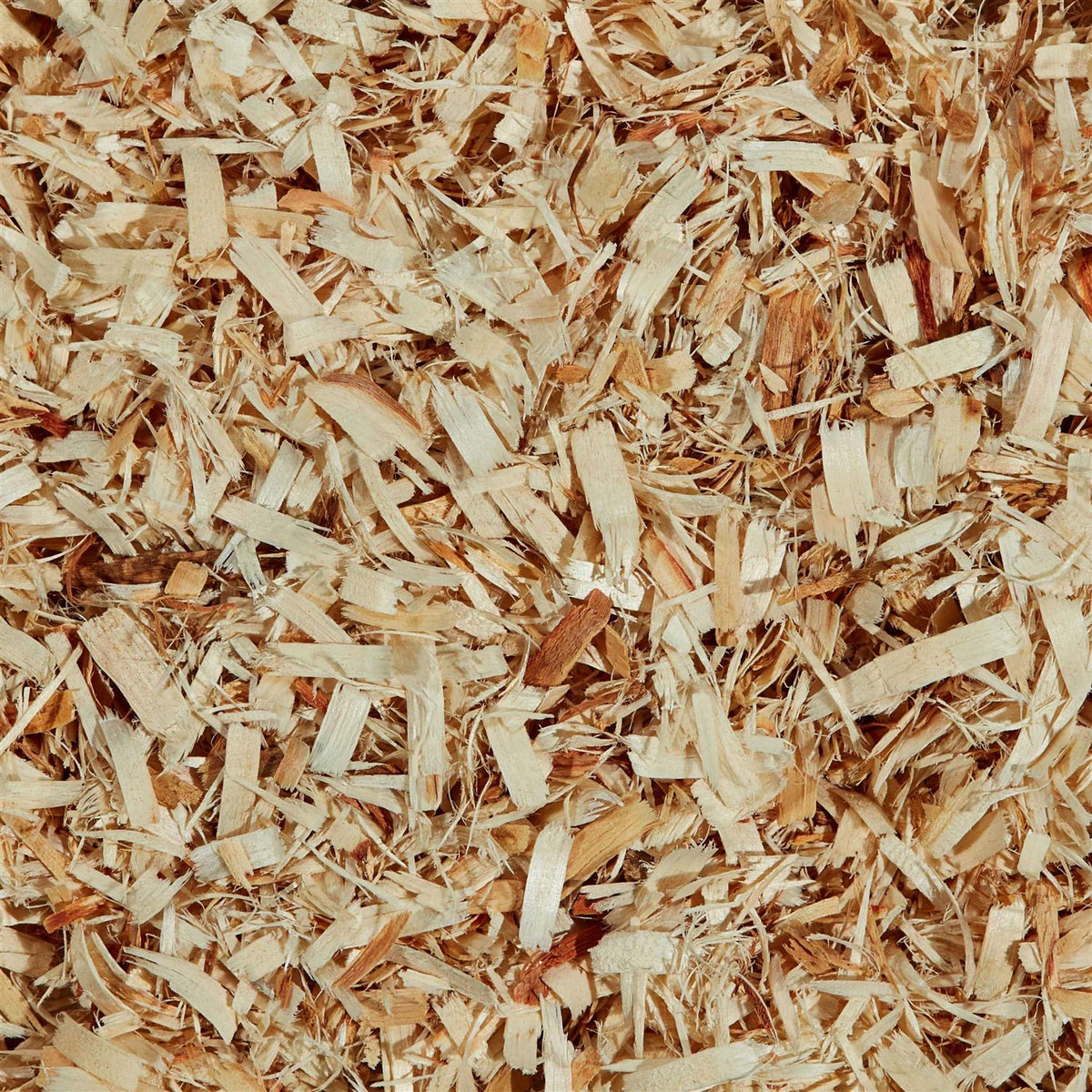 Aspen Small Pet Bedding C251989