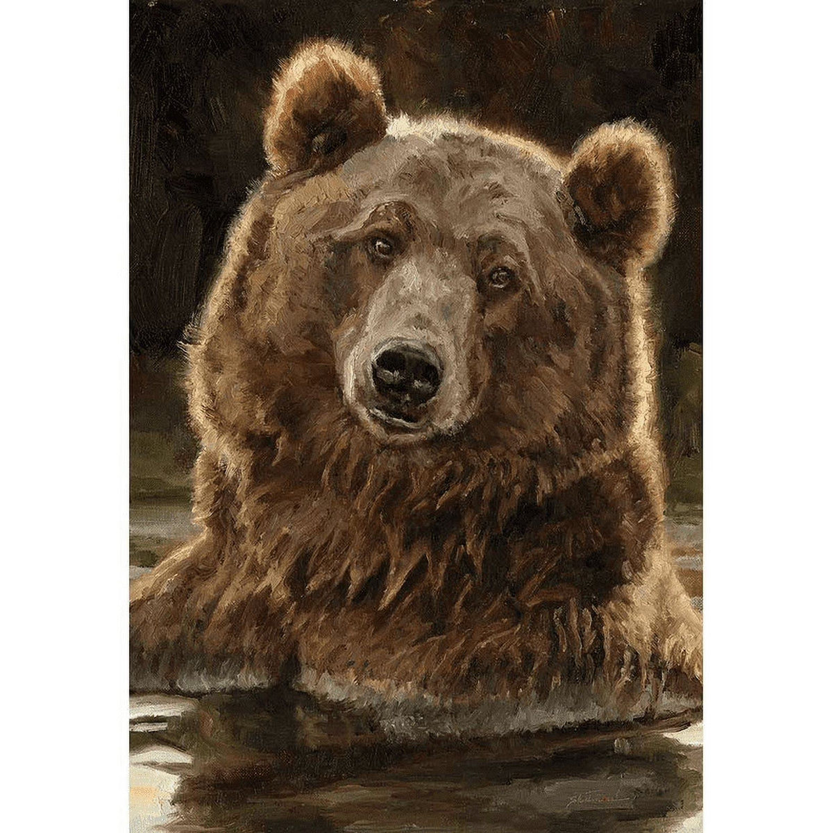 Playful Bear F456560