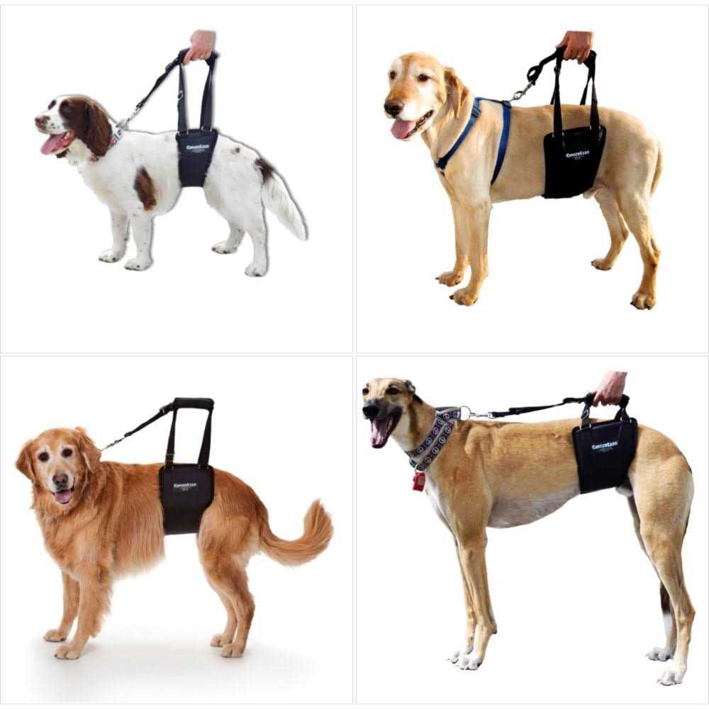 Dog Support Rehabilitation Harness J9811
