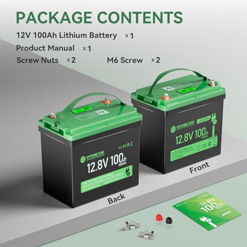 12V 100Ah LiFePO4 Lithium Battery, Mini Deep Cycle Rechargeable, 100A BMS T519