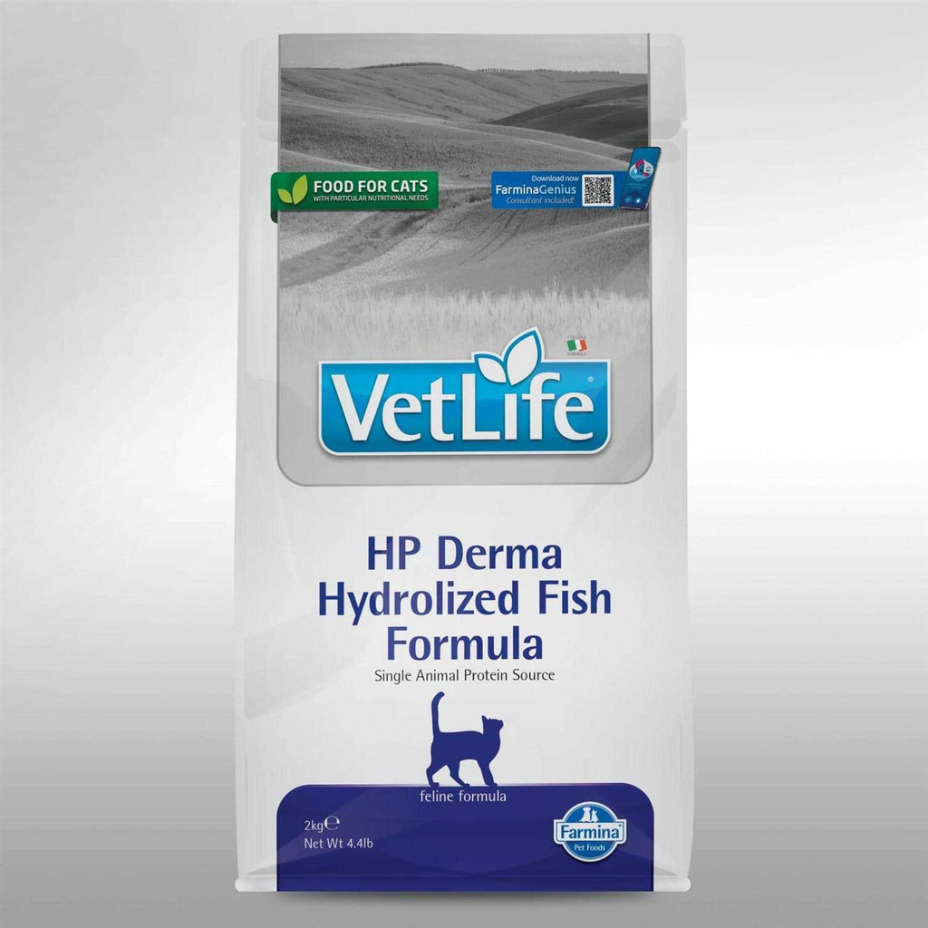 Cat Food Y342182