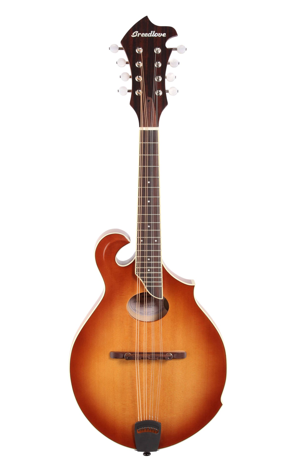 Sunburst Mandolin F593