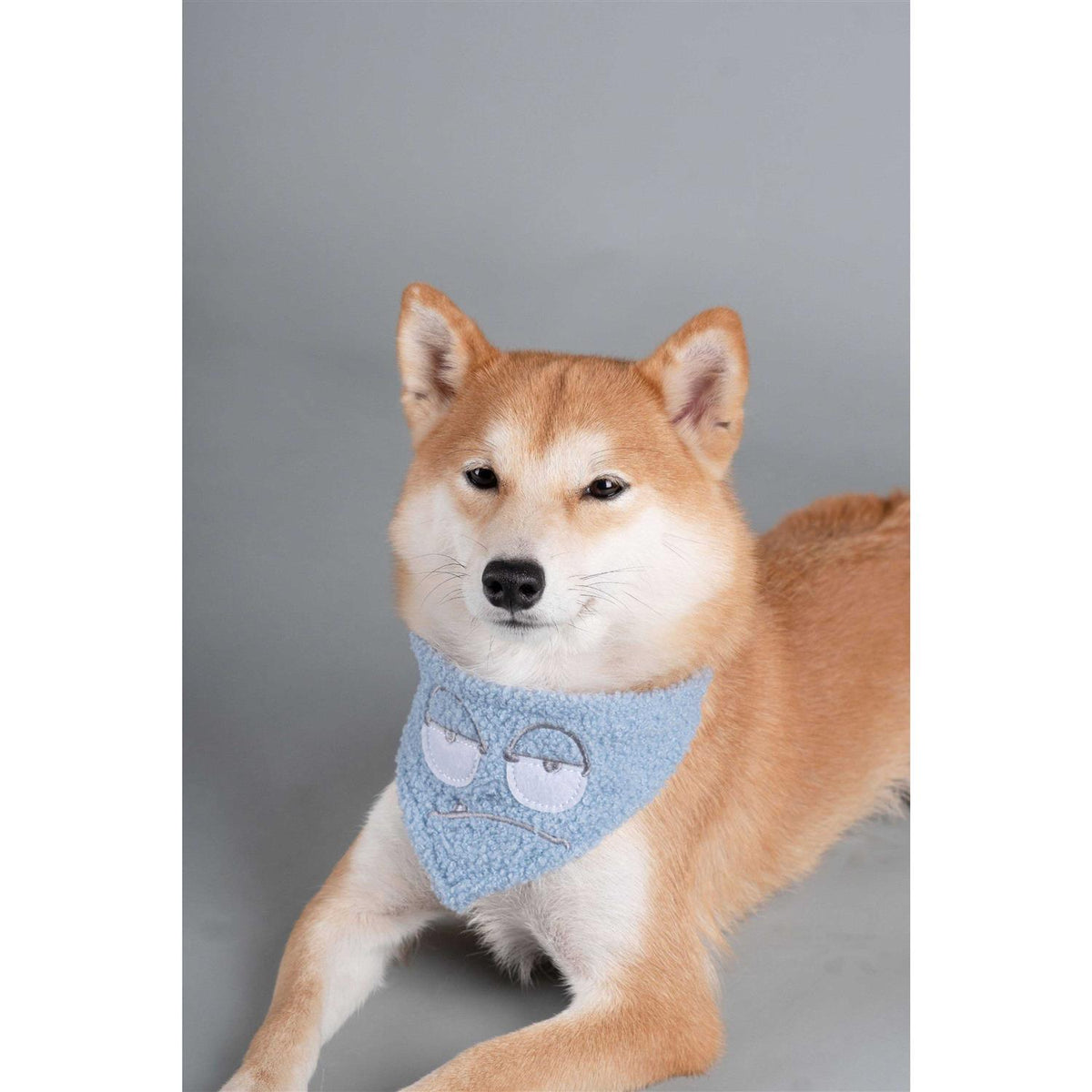 Nylon Dog Harness and Leash N6480
