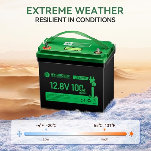 12V 100Ah LiFePO4 Lithium Battery, Mini Deep Cycle Rechargeable, 100A BMS T519