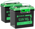 12V 100Ah LiFePO4 Lithium Battery, Mini Deep Cycle Rechargeable, 100A BMS T519