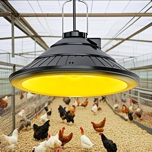 3000K Warm LED Hanging Ceiling Pendant Light with Timer R9067