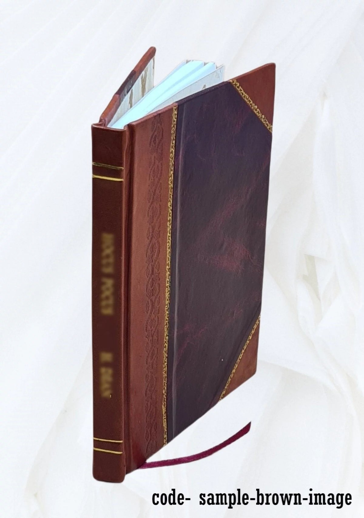 Computer Systems Report Leather Bound O808147
