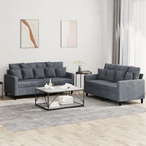 2-Piece Dark Gray Velvet Sofa Set M157068