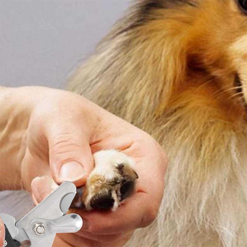 2 Pack Pet Nail Trimmer Clipper Set with 2 Nail Files N67214