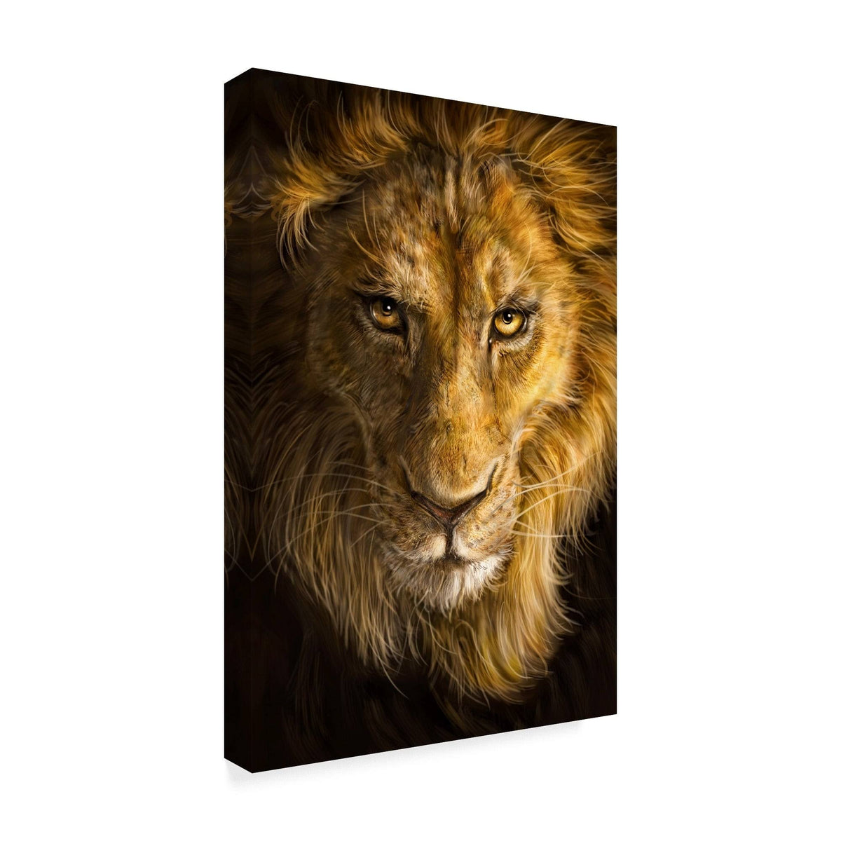 Canvas Art B43379
