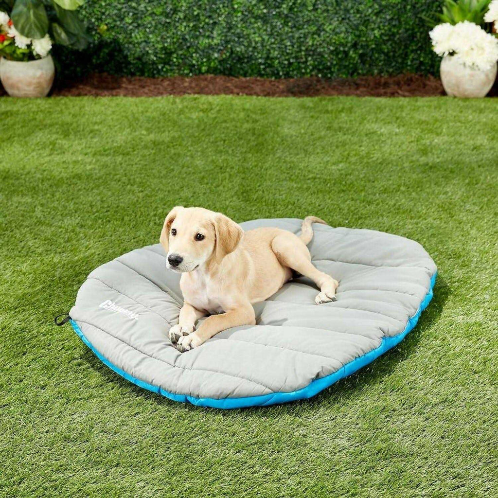 Travel Bed C793
