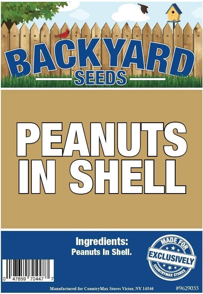 20 Pounds Raw Peanuts in Shell R679505