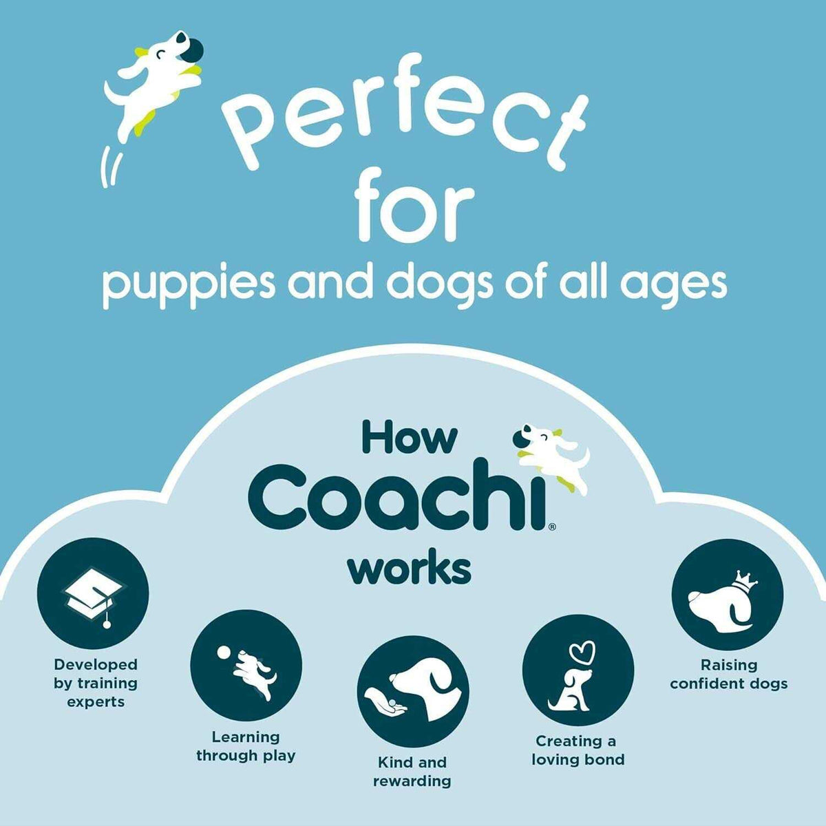 Puppy Training Line Navy A84246