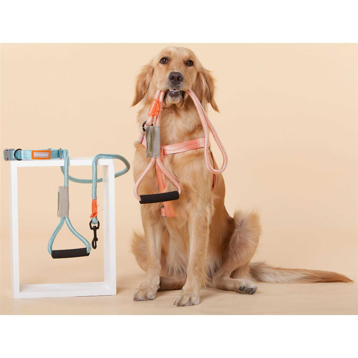 Nylon Dog Harness and Leash N6480