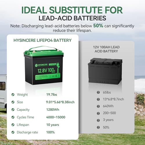 12V 100Ah LiFePO4 Lithium Battery, Mini Deep Cycle Rechargeable, 100A BMS T519