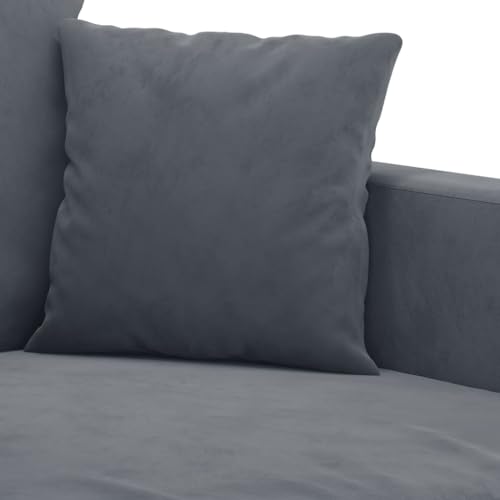 2-Piece Dark Gray Velvet Sofa Set M157068