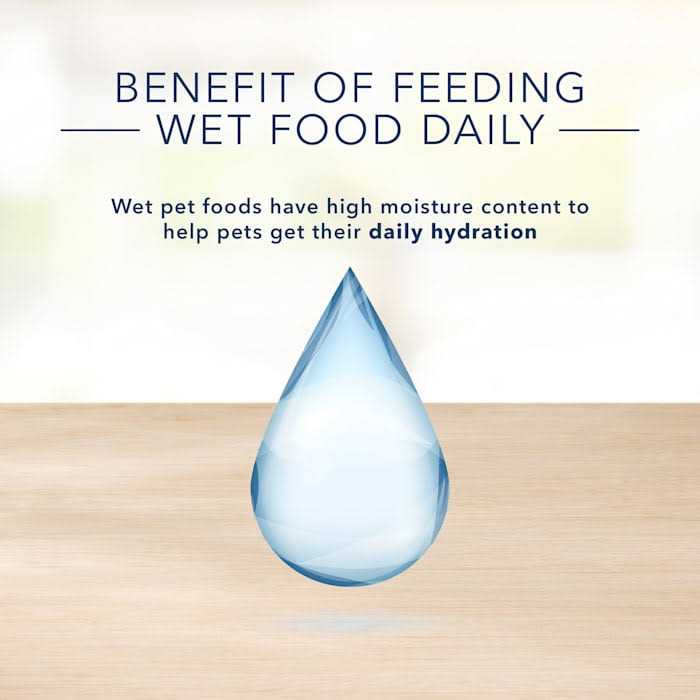 Adult Wet Cat Food F93354