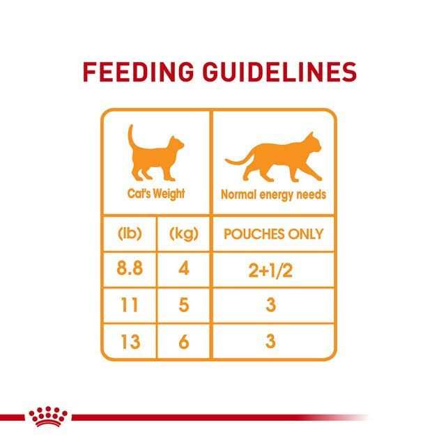 3 oz Chunks in Gravy Pouch Cat Food B462