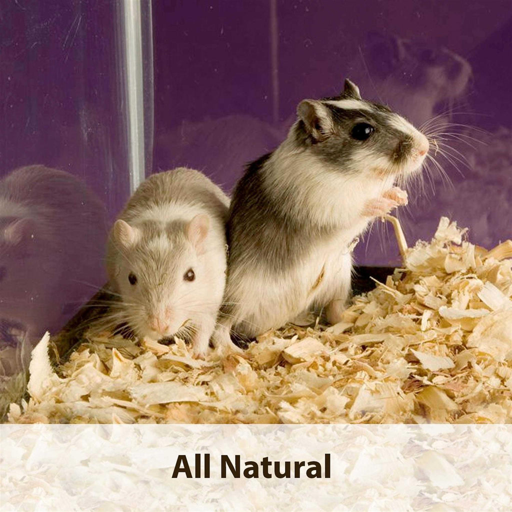 Aspen Small Pet Bedding C251989