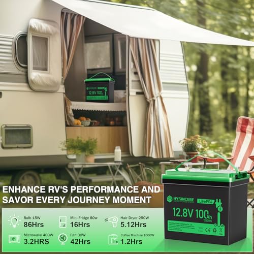 12V 100Ah LiFePO4 Lithium Battery, Mini Deep Cycle Rechargeable, 100A BMS T519