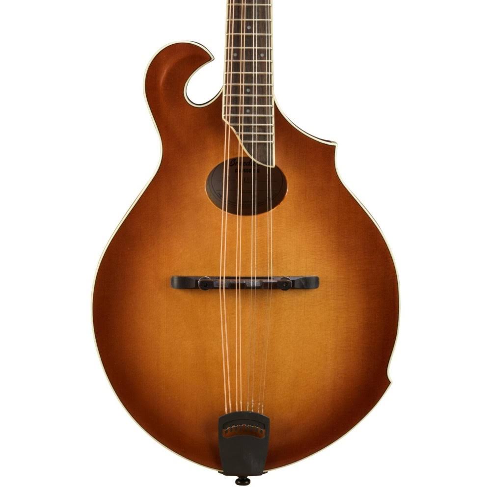 Sunburst Mandolin F593