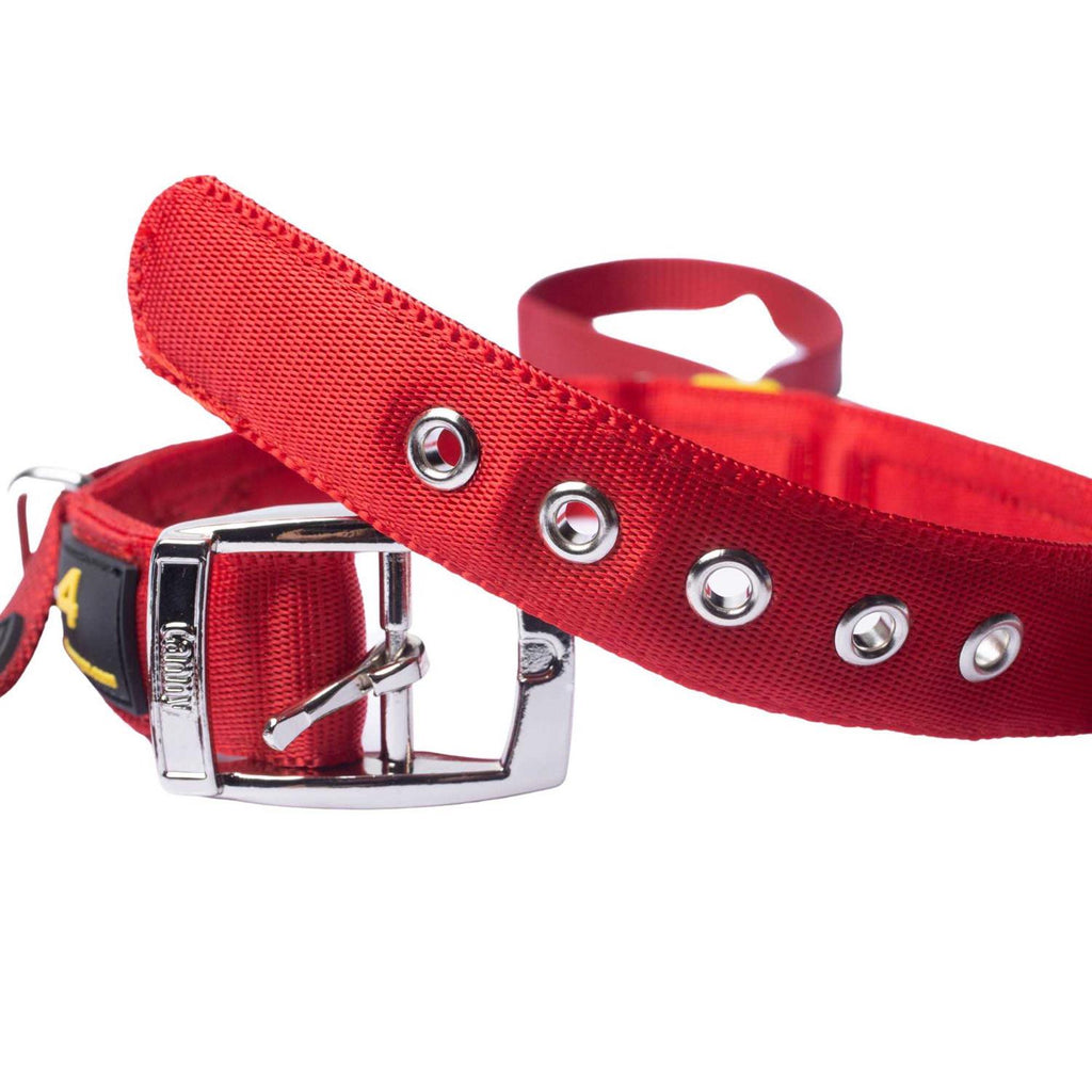 Padded Dog Training Head Collar H2083