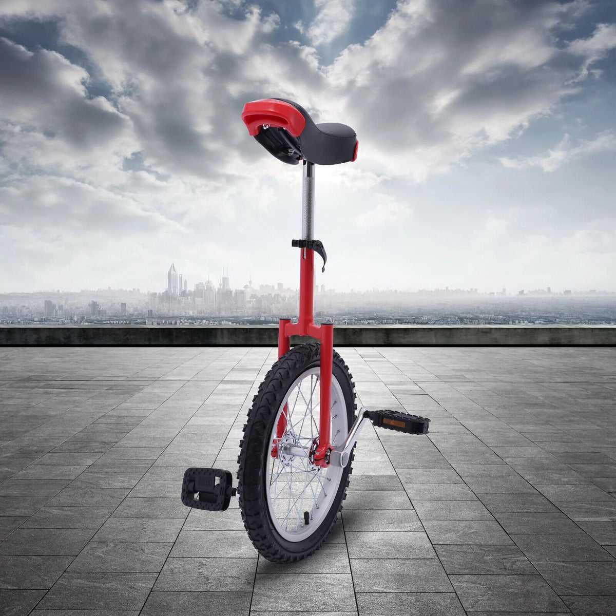 16 Wheel Unicycle with Steel Rim D67904