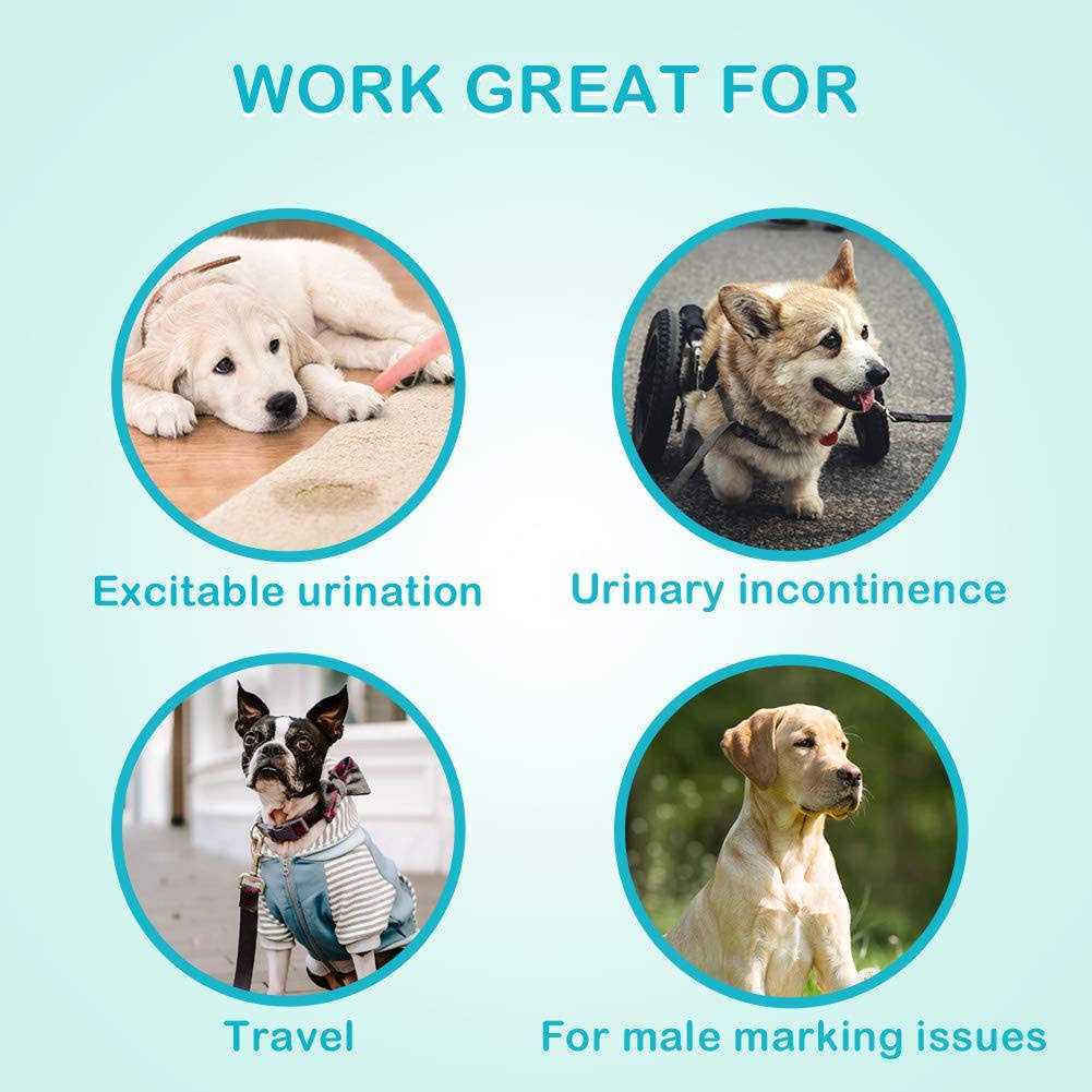 Absorbent Male Dog Wraps with Leak Protection J285