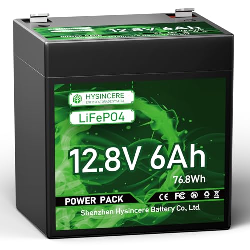 12V 100Ah LiFePO4 Lithium Battery, Mini Deep Cycle Rechargeable, 100A BMS T519