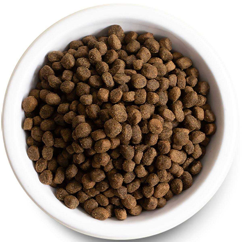 Grain-Free Dry Puppy Dog Food Z703813