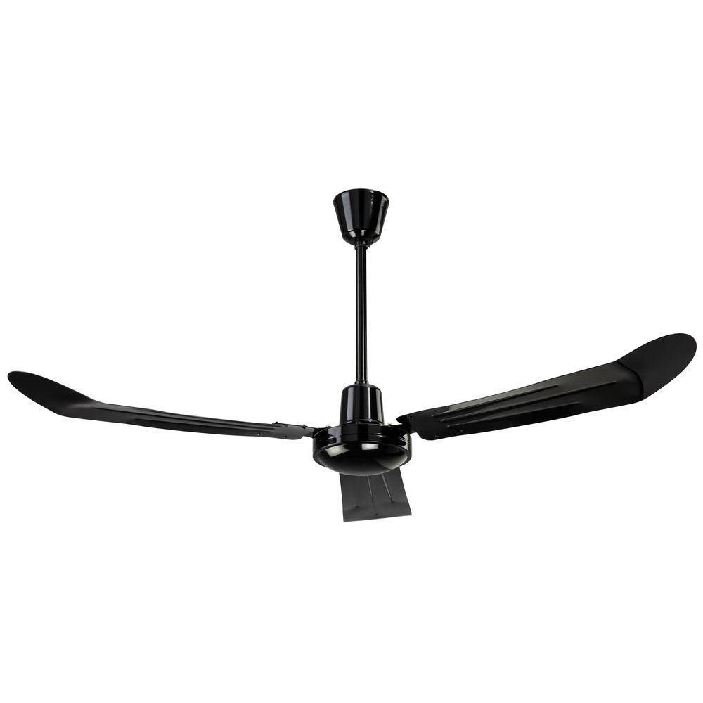 Black Ceiling Fan V524