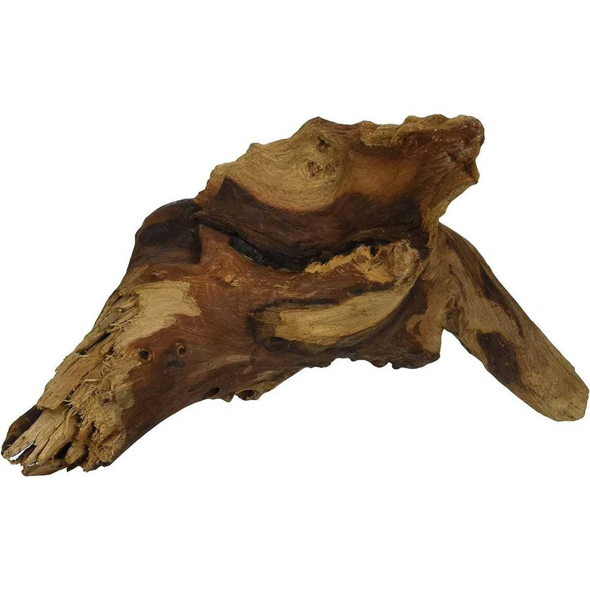 Mopani Wood F5585