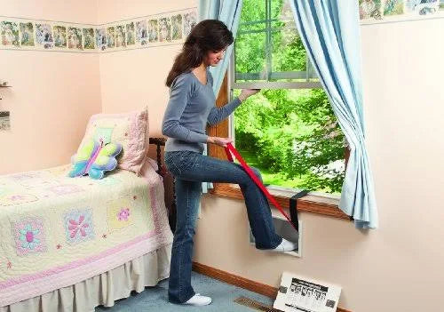 Fire Escape Ladder Two Story I945527