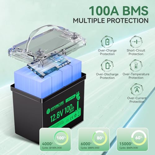 12V 100Ah LiFePO4 Lithium Battery, Mini Deep Cycle Rechargeable, 100A BMS T519