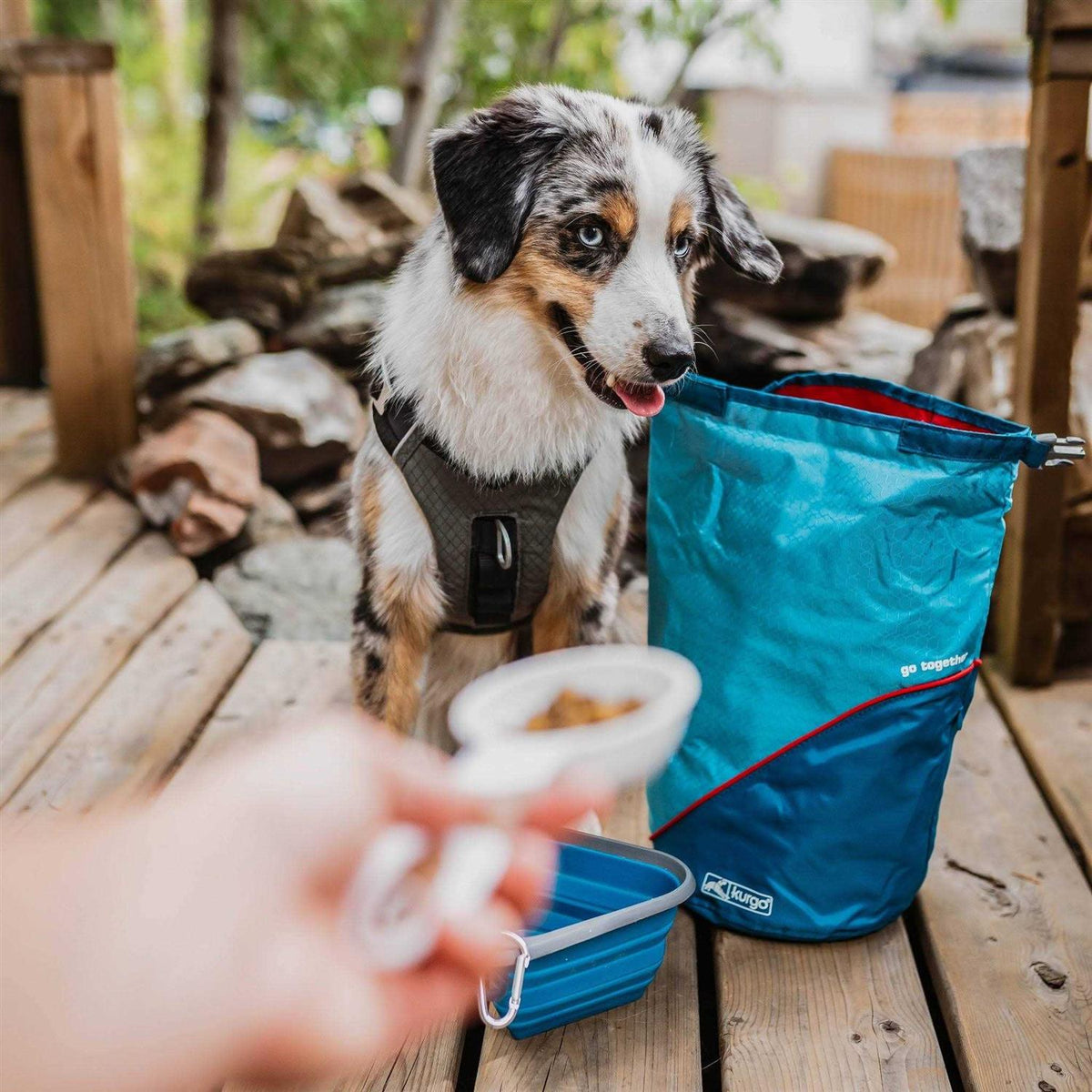 Pet Supplies B796356
