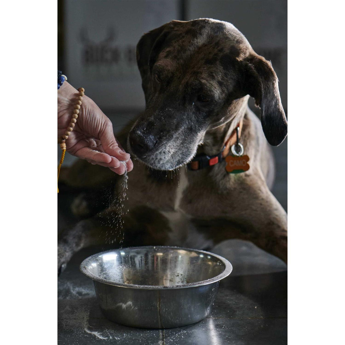 Ground Wild Elk and Deer Antler Powder for Dogs E618