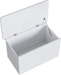 White Engineered Wood Storage Trunk with Lid S565