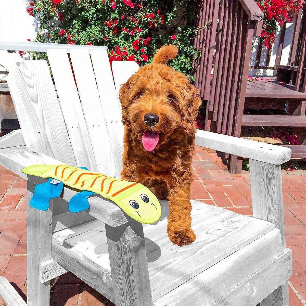 Fire Biterz Dog Toy Lizard X853833