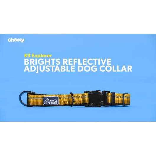 Reflective Adjustable Dog Collar A492750
