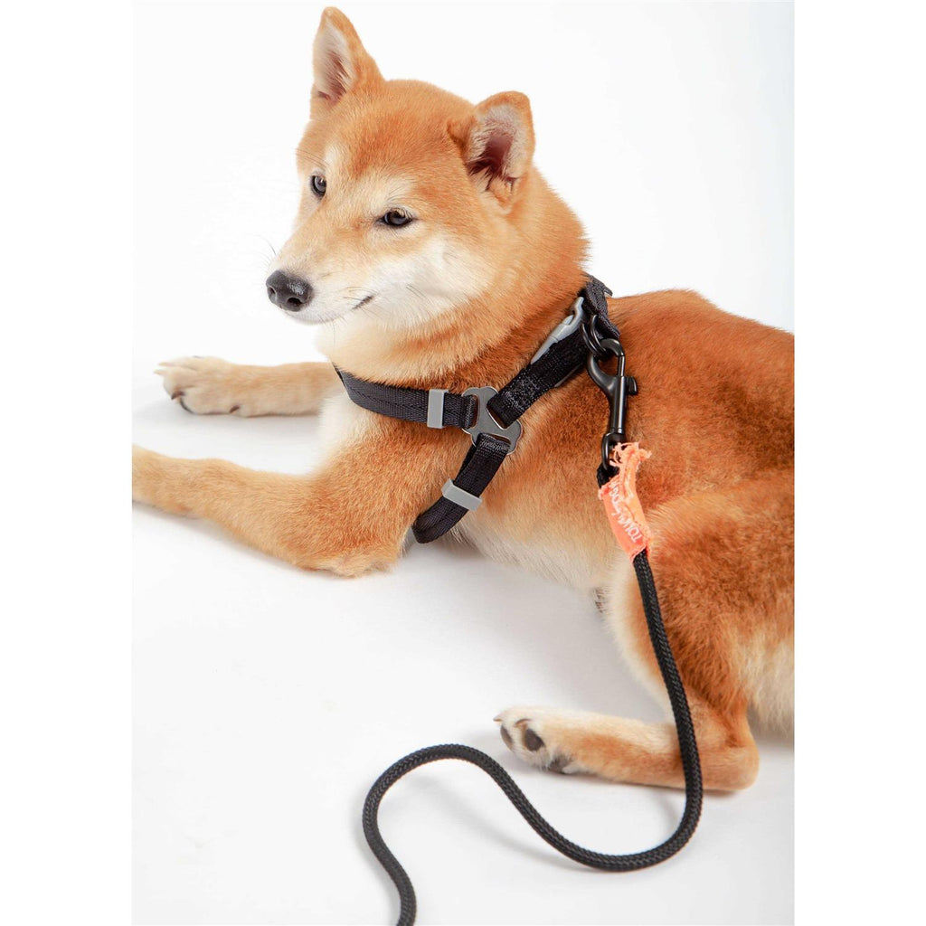 Nylon Dog Harness and Leash N6480