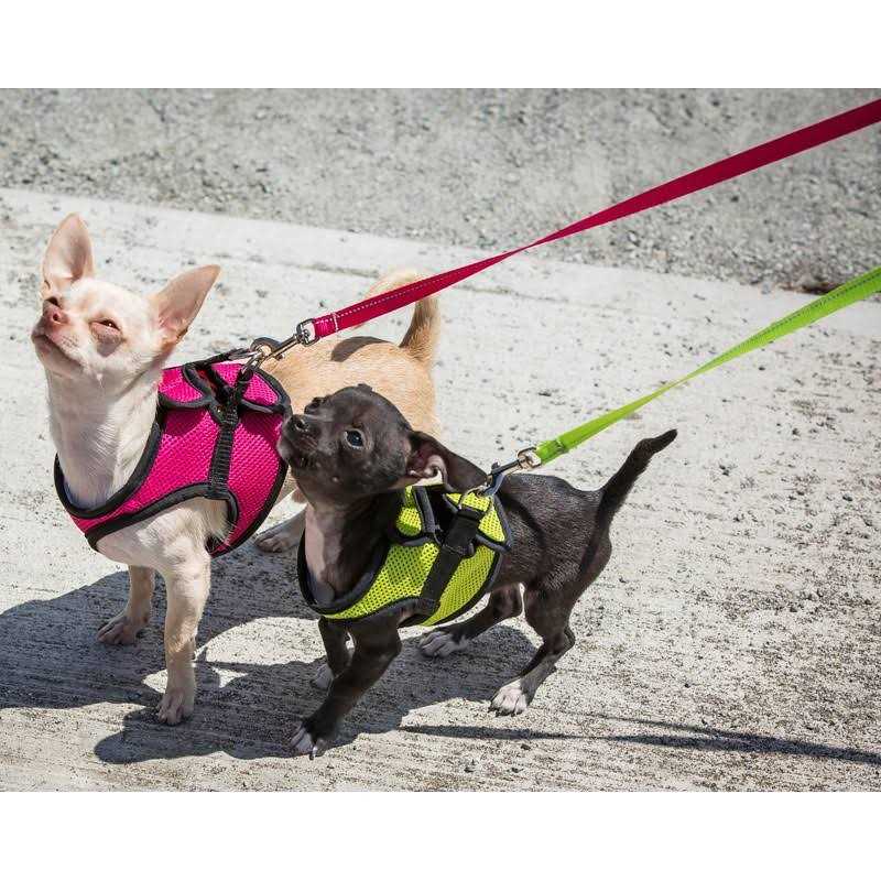 Step in Dog Harness L684