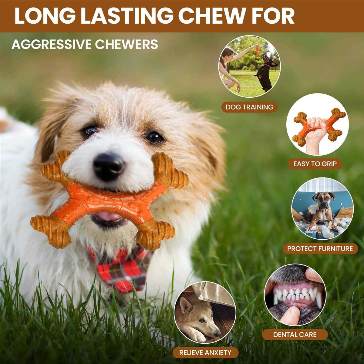Bone Peanut Butter Pet Supplies U44817