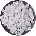 Rice Paper Plant Pith 500g Y775