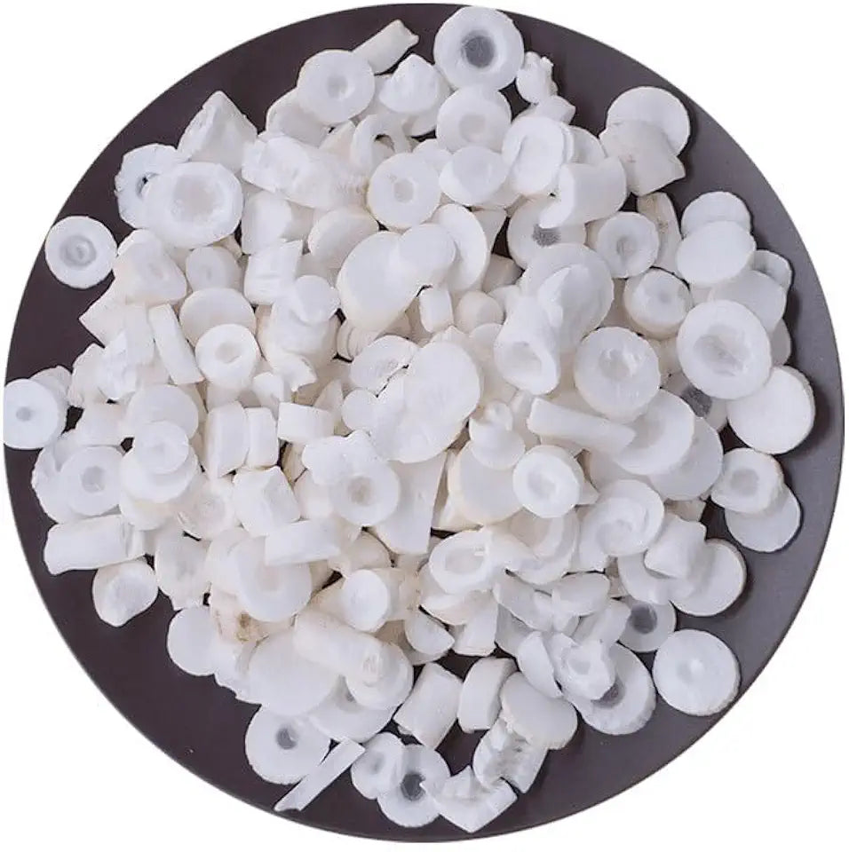 Rice Paper Plant Pith 500g Y775