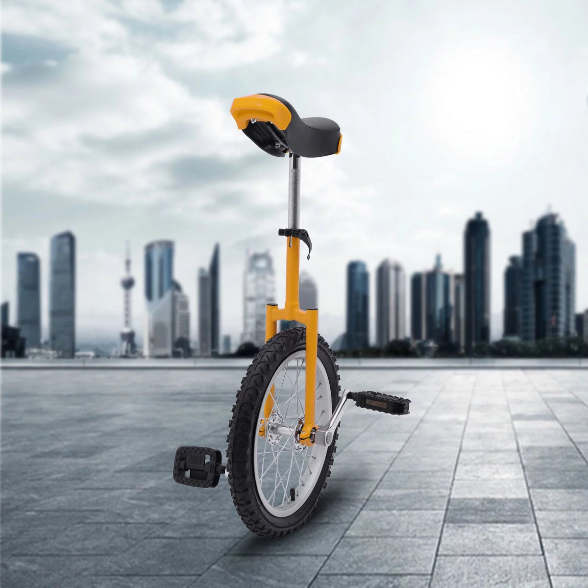 16 Wheel Unicycle with Steel Rim D67904